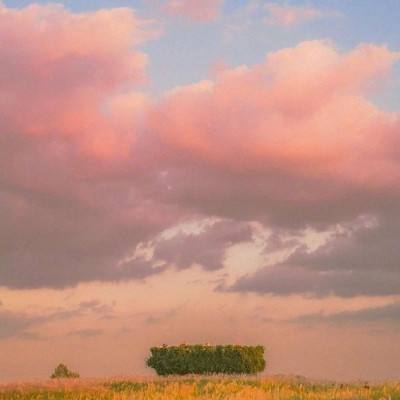 皇冠综合体育官方app下载