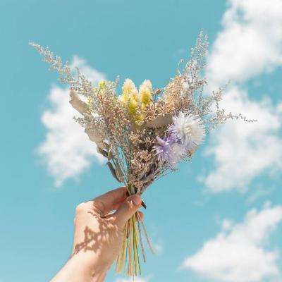 天博国际电子游戏app